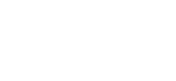 میگاپے logo
